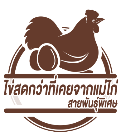 คัดสรรแม่ไก่สายพันธุ์พิเศษ