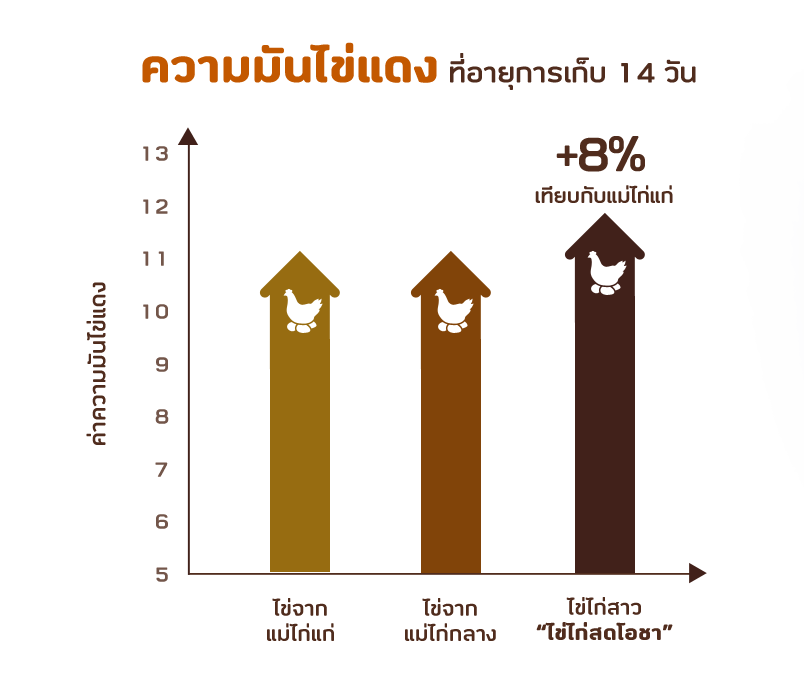 ความมันไข่แดง ที่อายุการเก็บ 14 วัน