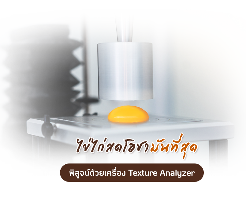 พิสูจน์ด้วยเครื่อง Texture Analyzer