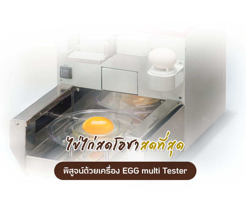 พิสูจน์ด้วยเครื่อง EGG multi Tester