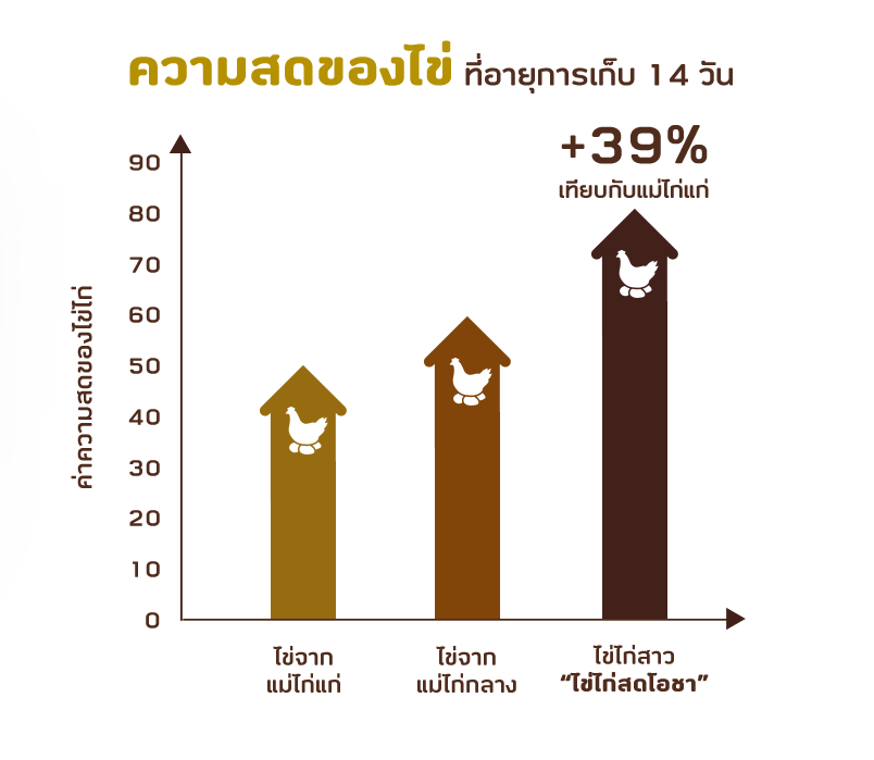 ความสดของไข่ ที่อายุการเก็บ 14 วัน