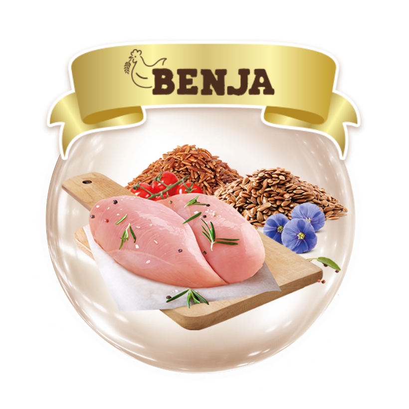 Benja Chicken