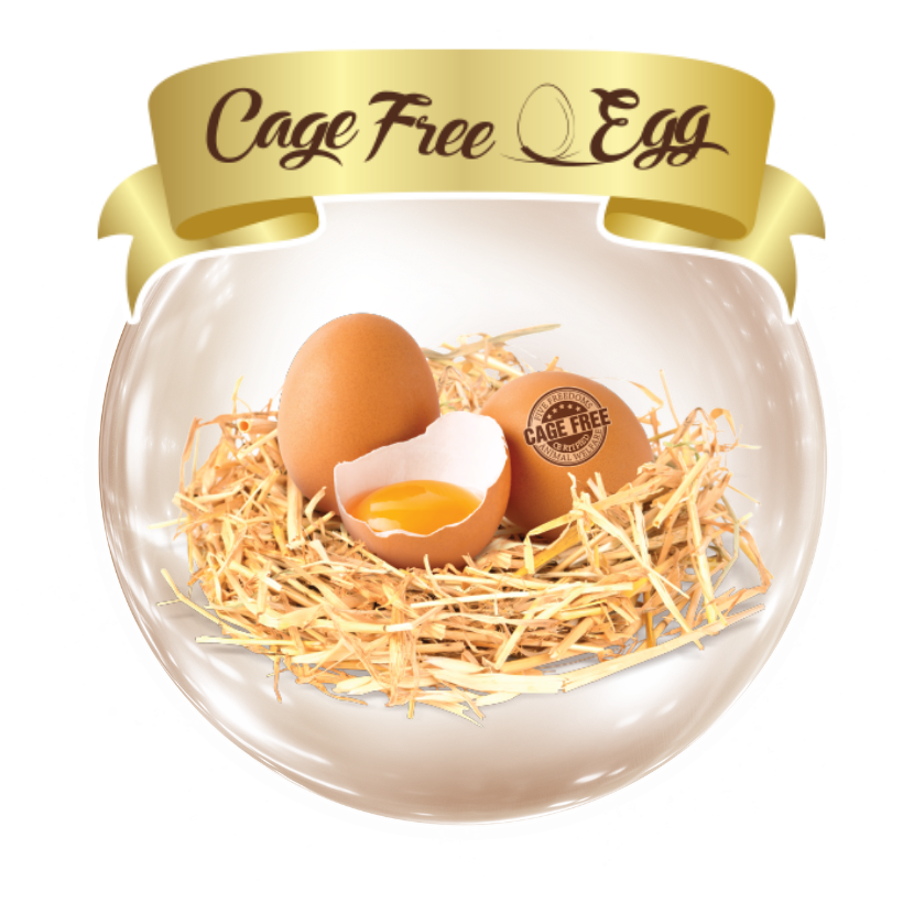 Cage Free Egg