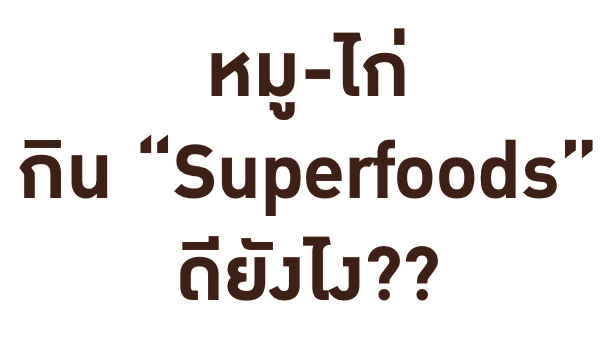 หมู-ไก่ กิน Superfood ดียังไง??